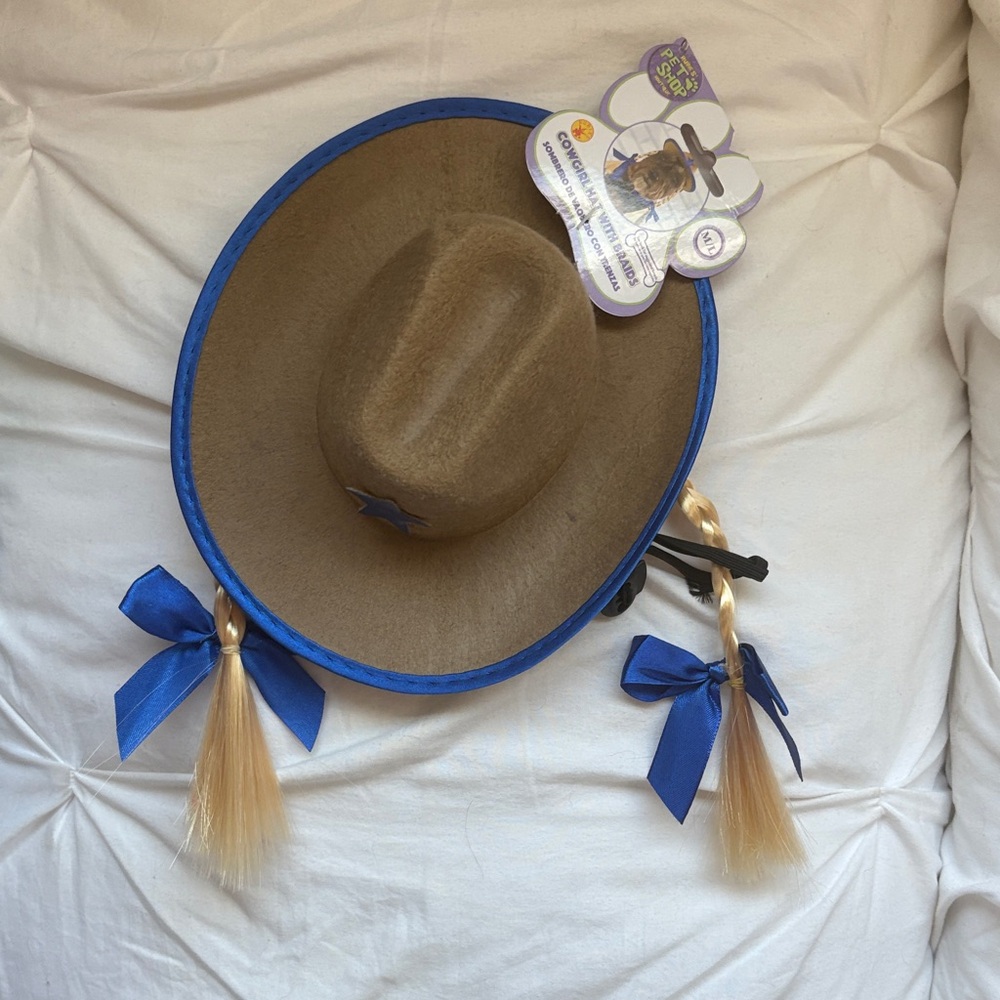 Brown and Blue Dog Cowboy Hat